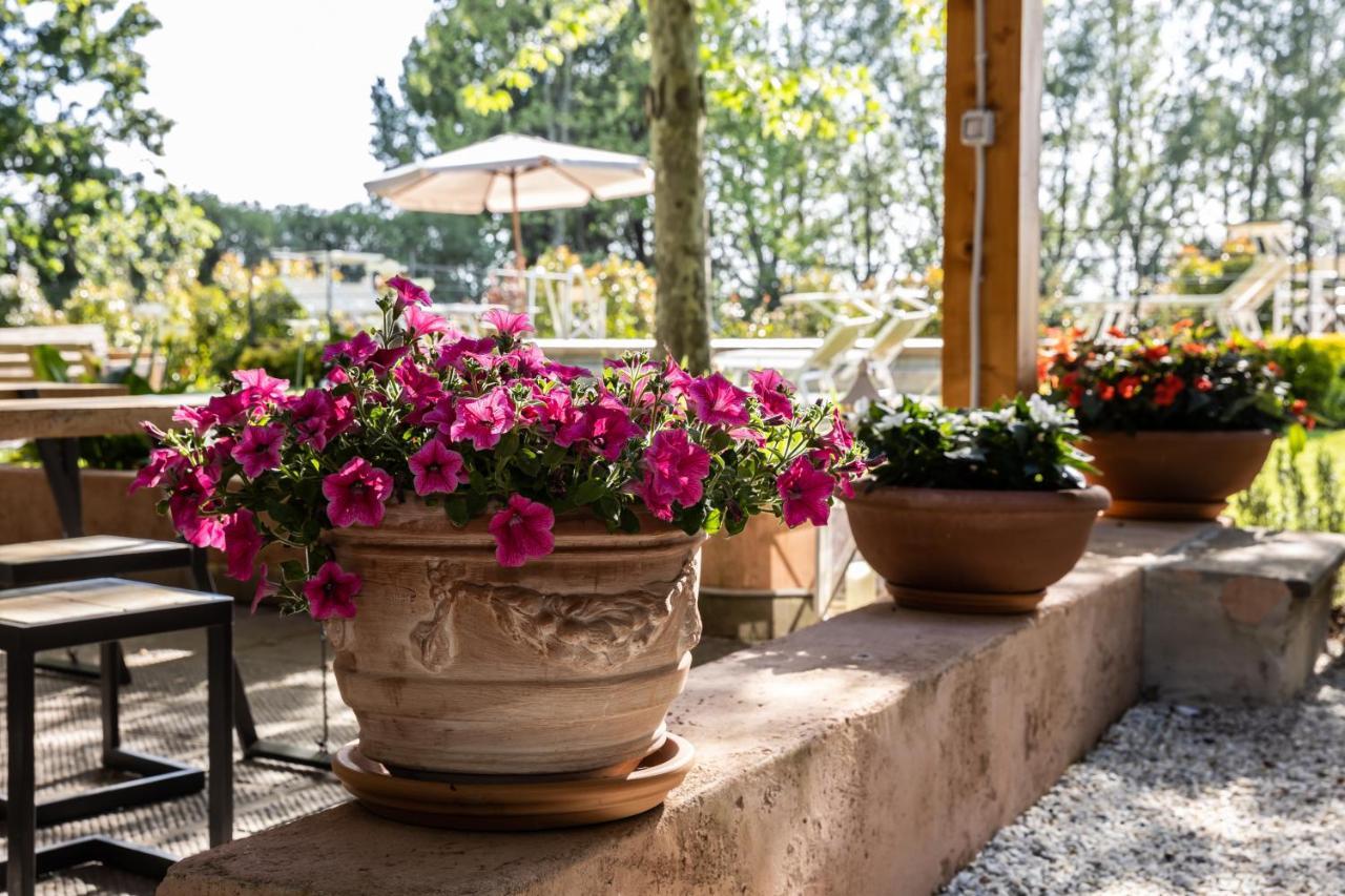 Vecchio Granaio Bed & Breakfast Pisa Exterior photo